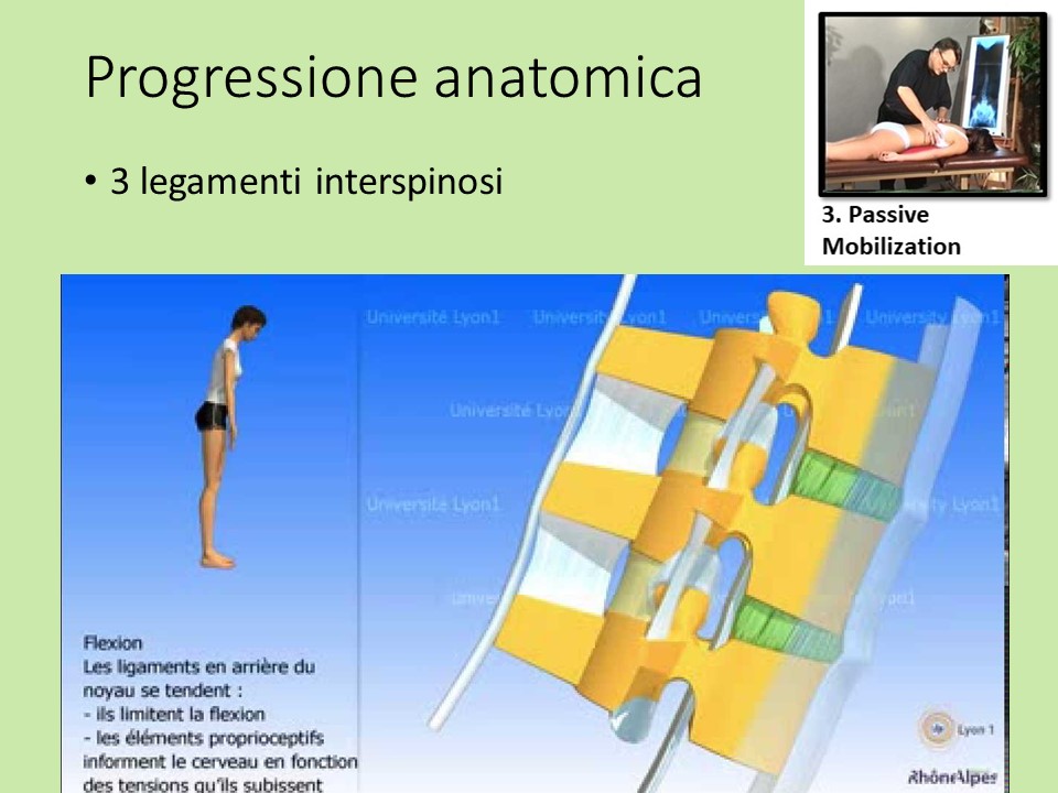 Slide10