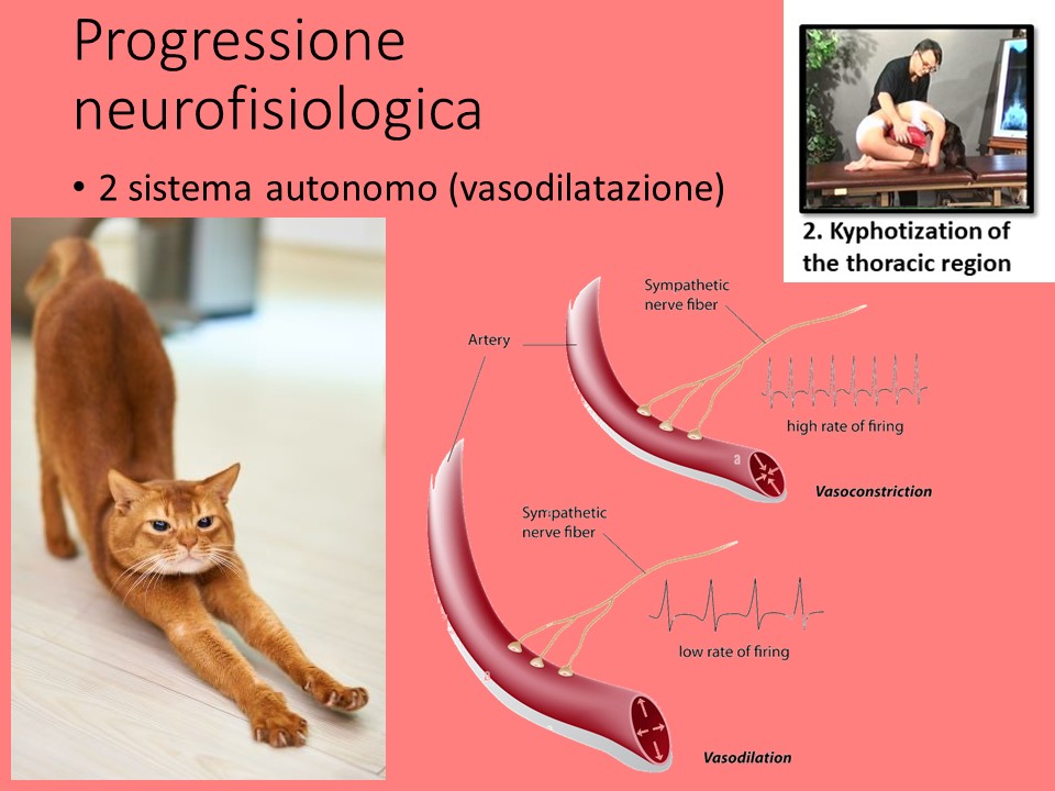 Slide35