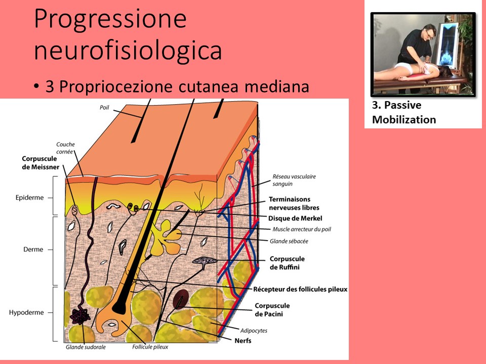 Slide36