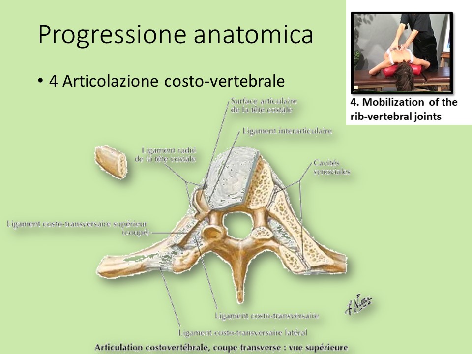 Slide11