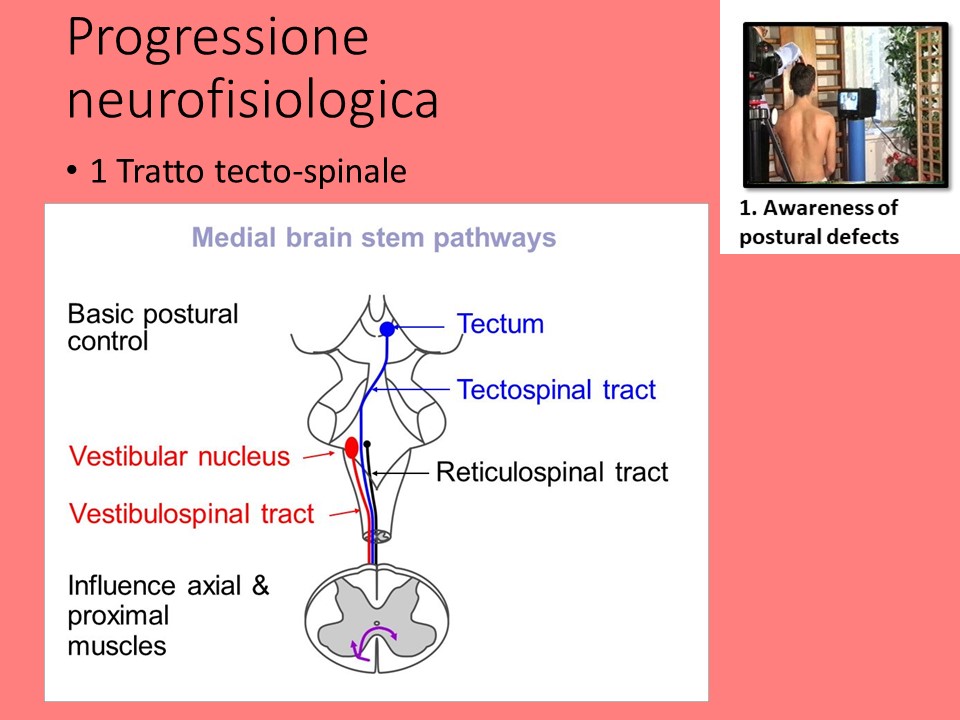 Slide34