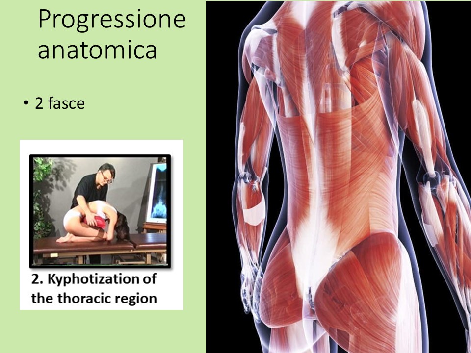 Slide9