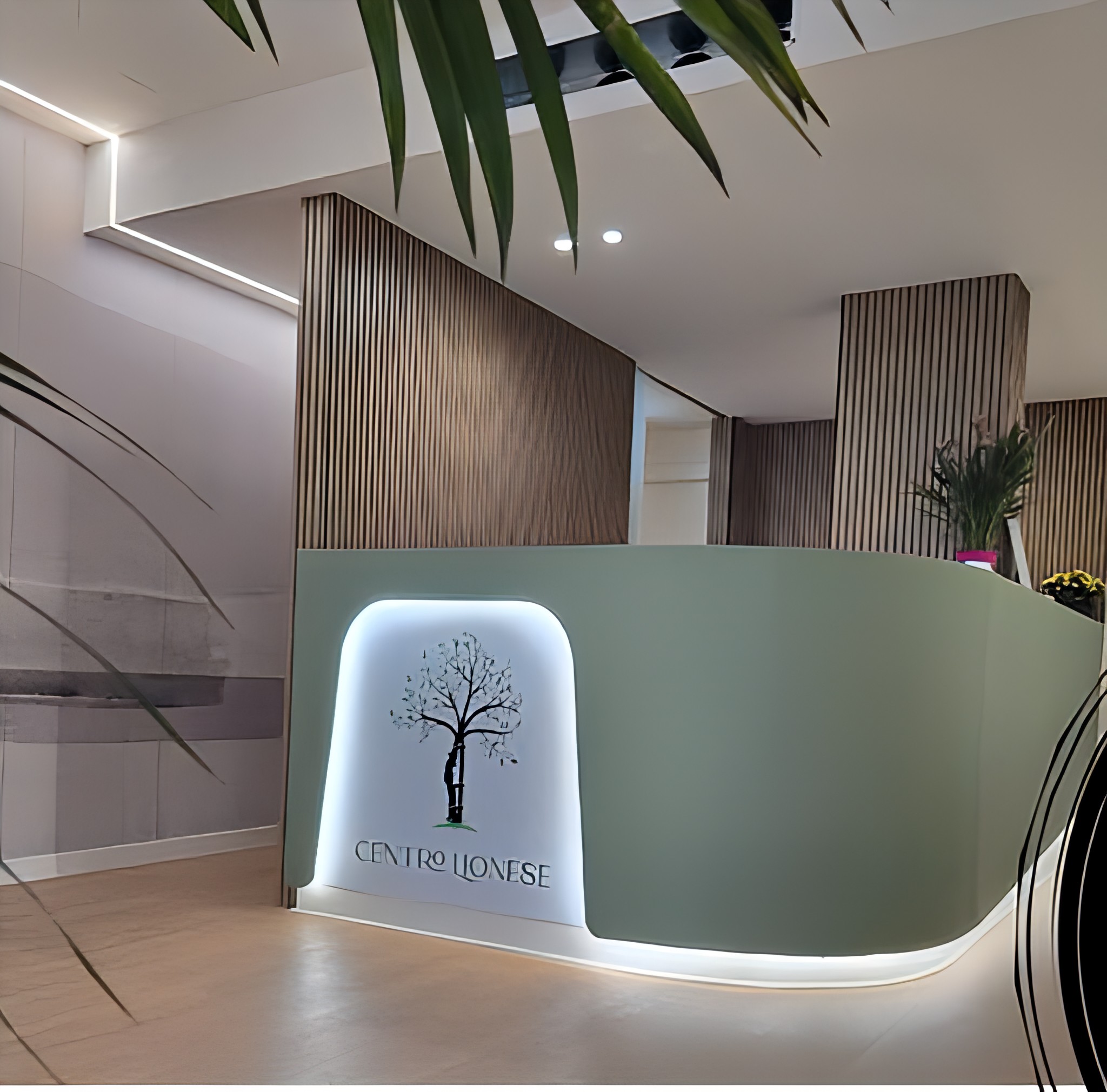 Centro lionese_Image Enhancer