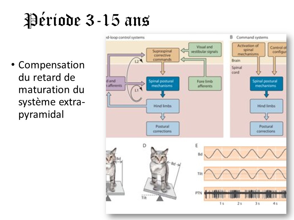 21C (24)