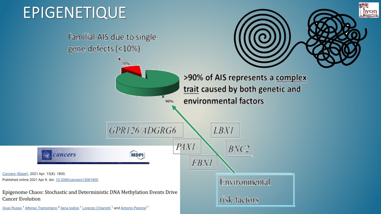 Slide7 Slide7